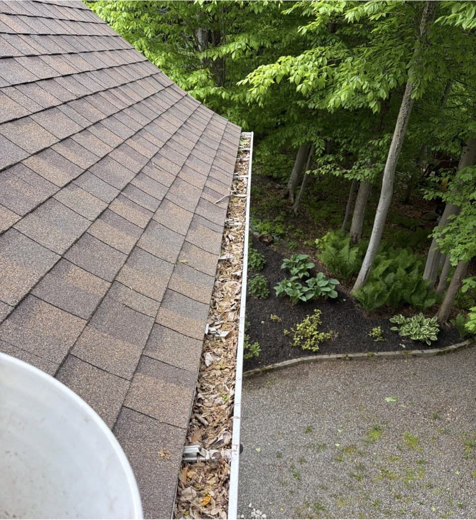 Gouttière obstruée par feuilles et débris avant nettoyage